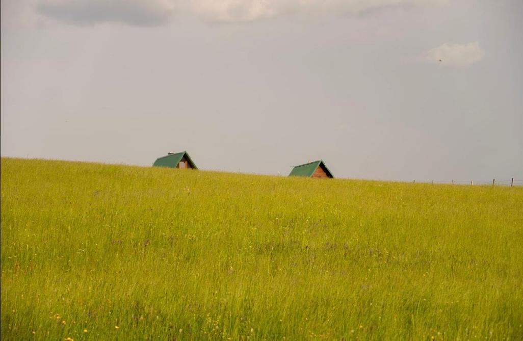 Mountain Peaceful Cottages Žabljak Εξωτερικό φωτογραφία