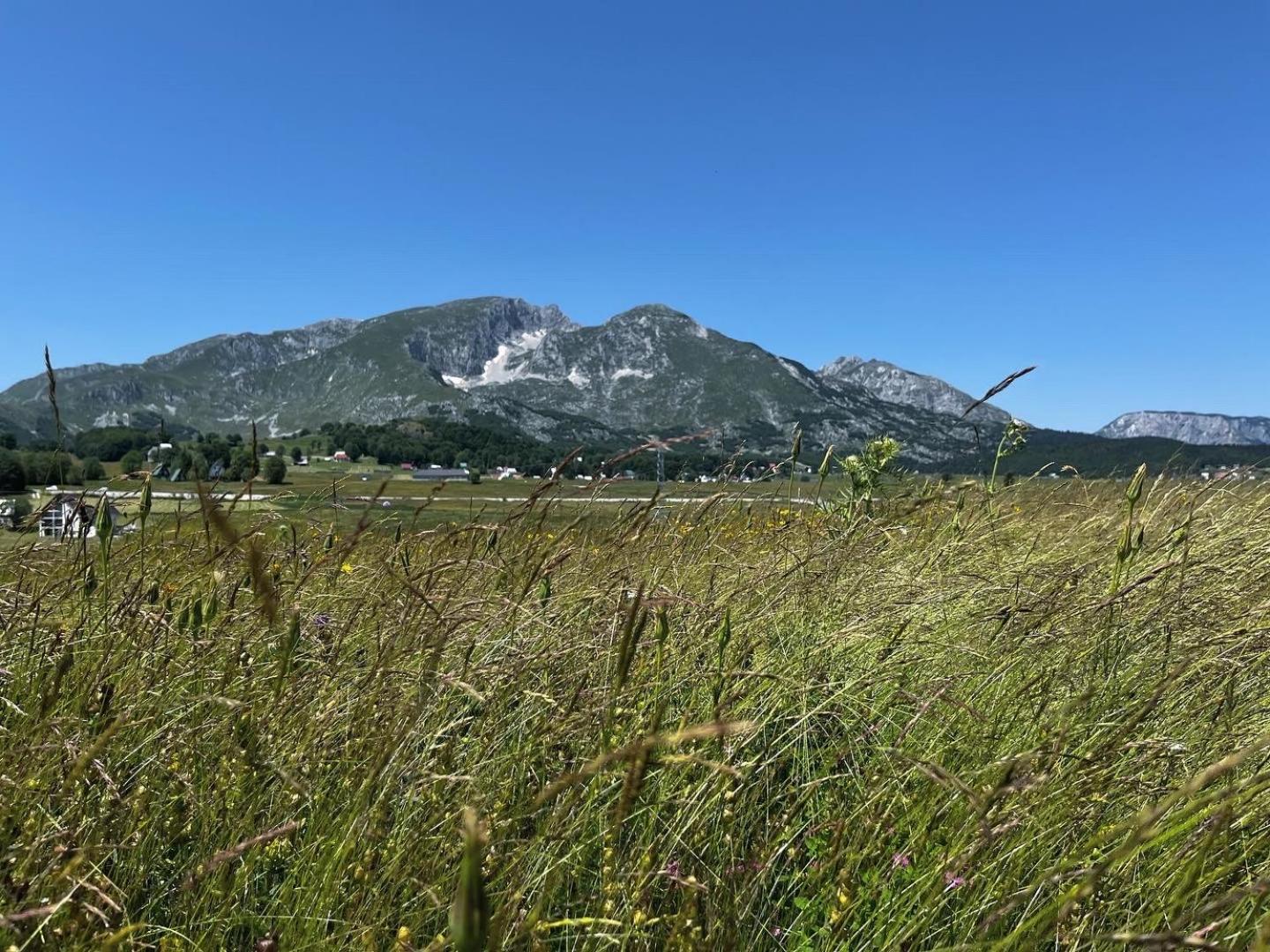 Mountain Peaceful Cottages Žabljak Εξωτερικό φωτογραφία